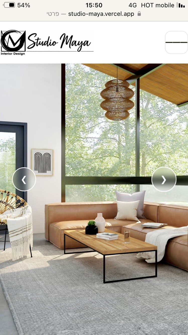 לקוח WEBZO — תיק עבודות 8